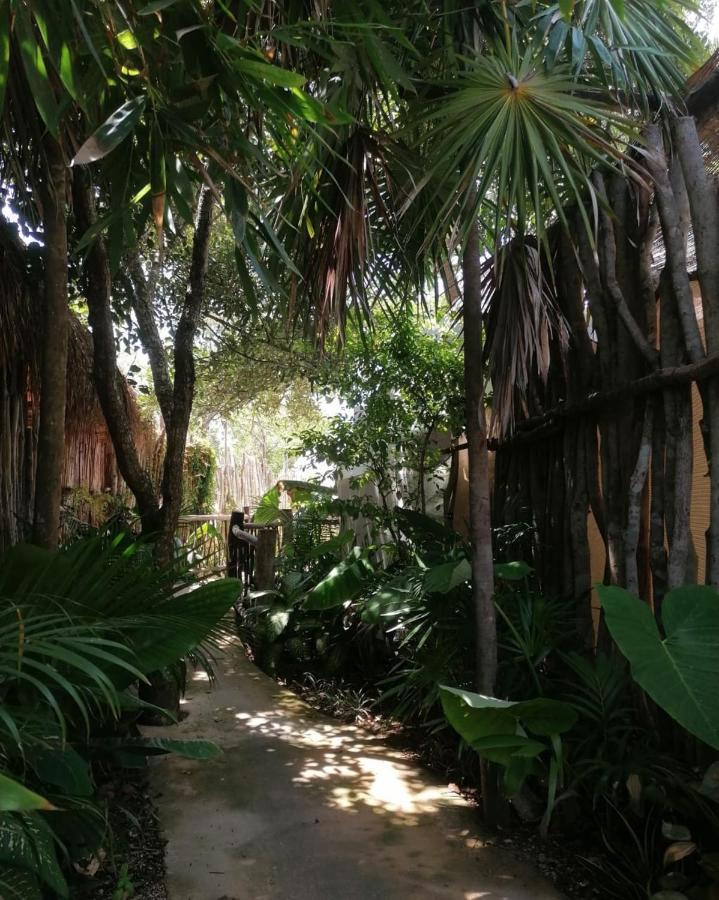 Cozy Room Near The Beach, Party Zone 图卢姆 外观 照片